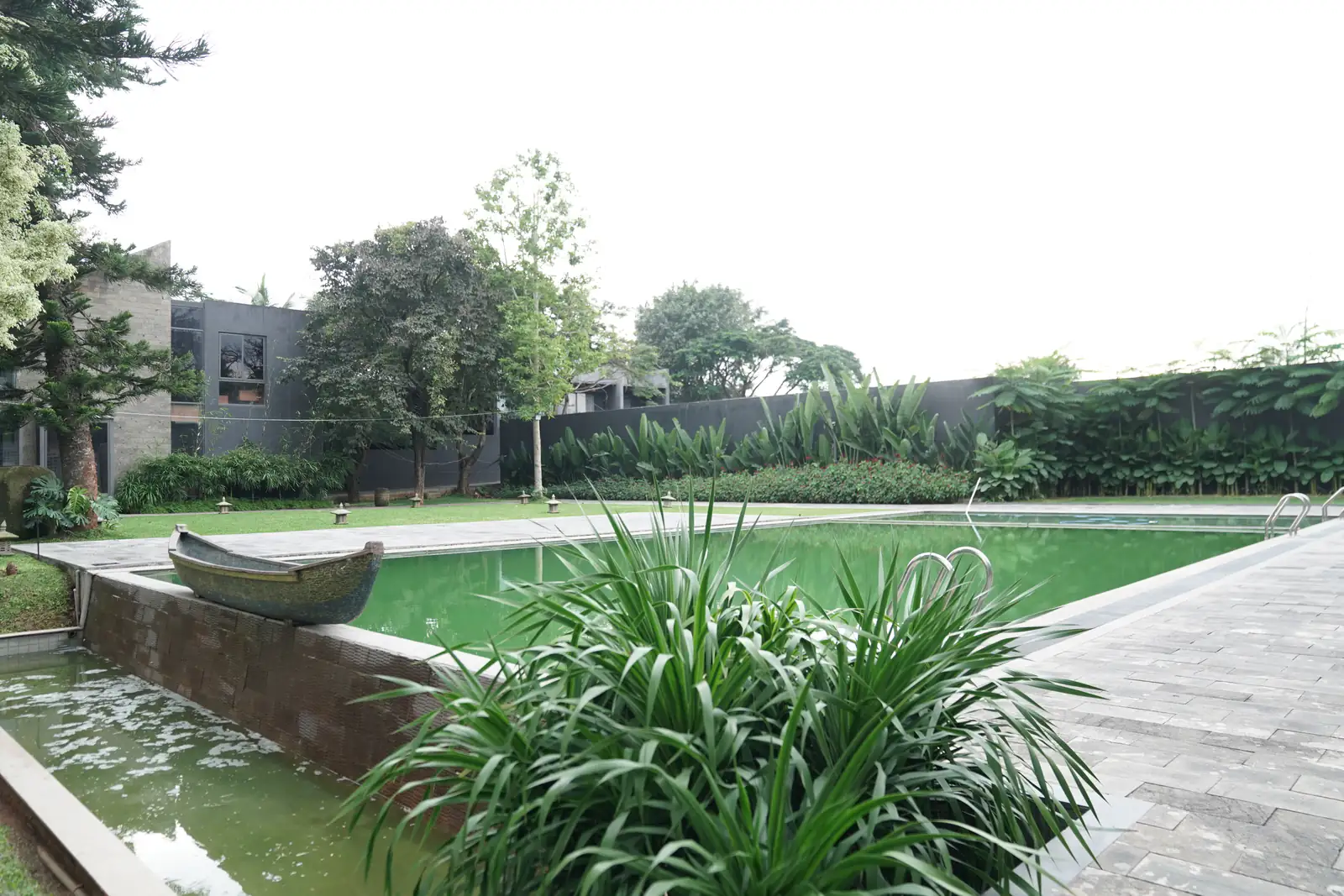 Pool deck framed by tropical greenery